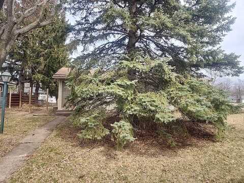 Jade, SAINT PAUL, MN 55122