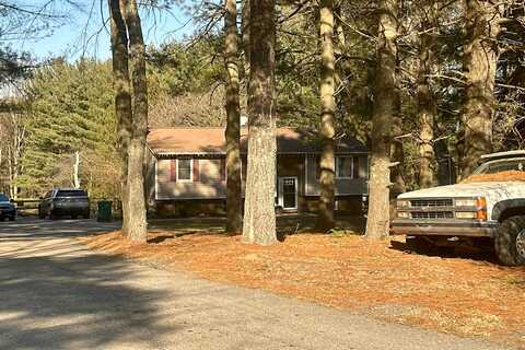 Bluebird, WESTMINSTER, MD 21157