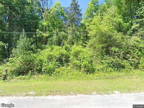 Indigo, MIDDLEBURG, FL 32068