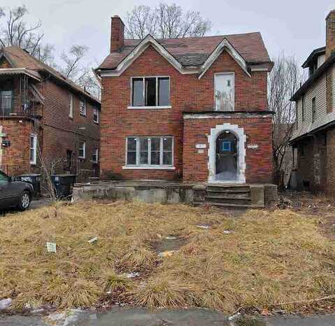 Tyler Detroit Mi 48238, Detroit, MI 48238