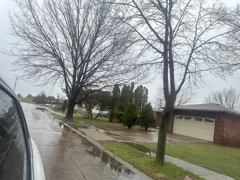 Marie, DEARBORN, MI 48120