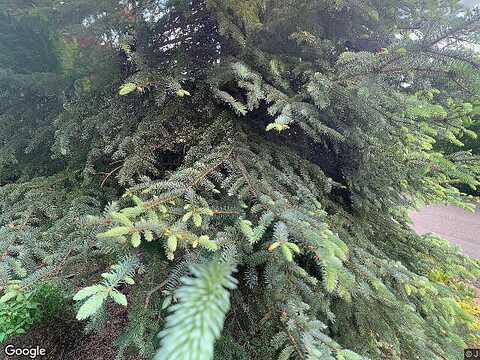 Summerlinn, WEST LINN, OR 97068