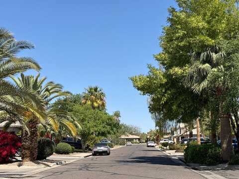 Parisi, SAN TAN VALLEY, AZ 85140