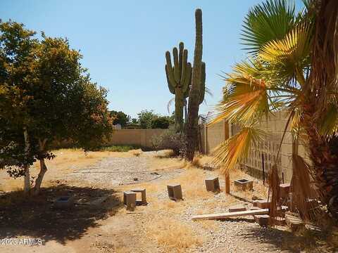 Dahlia, GLENDALE, AZ 85304