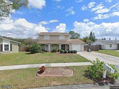 Seton, TAMPA, FL 33634
