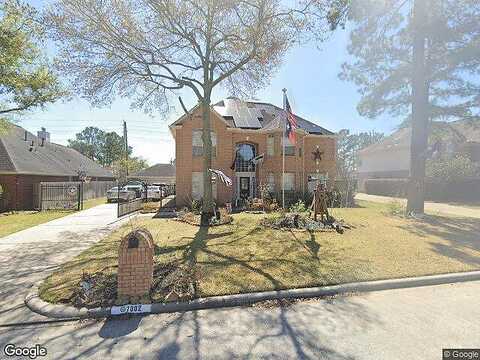 Wild Violet, HUMBLE, TX 77346