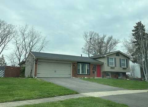 Dartmouth, HANOVER PARK, IL 60133