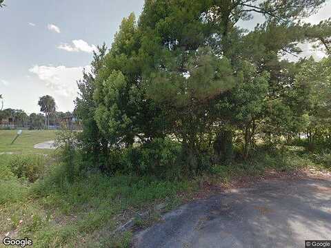 Alpine Aster, JACKSONVILLE, FL 32256