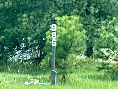 Apache, FLORISSANT, CO 80816