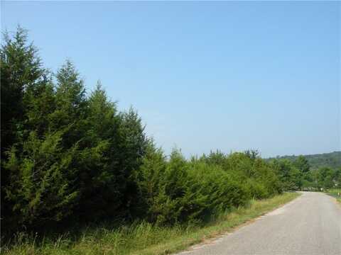 6 Clover LN Unit #10, Holiday Island, AR 72631