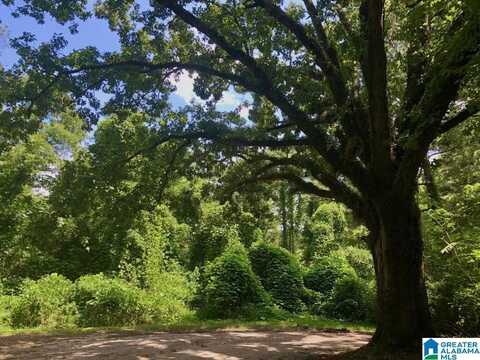 4251 CEDAR STREET, BIRMINGHAM, AL 35210