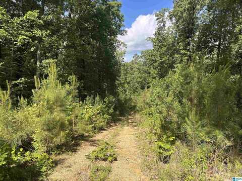 55741 HIGHWAY 25, LEEDS, AL 35094