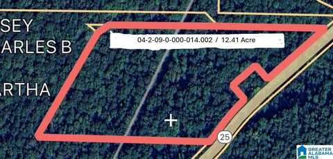 55741 HIGHWAY 25, LEEDS, AL 35094