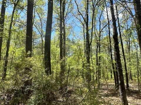 21-14-15 Potlatch Rd, Locust Bayou, AR 71744