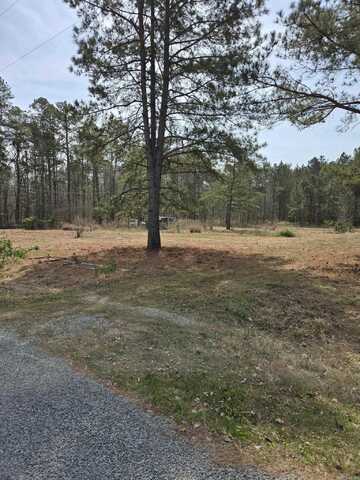 undefined, Redfield, AR 72132