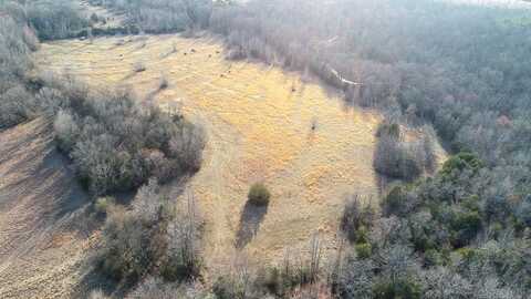 00 Wildcat Hollow, Greenbrier, AR 72058