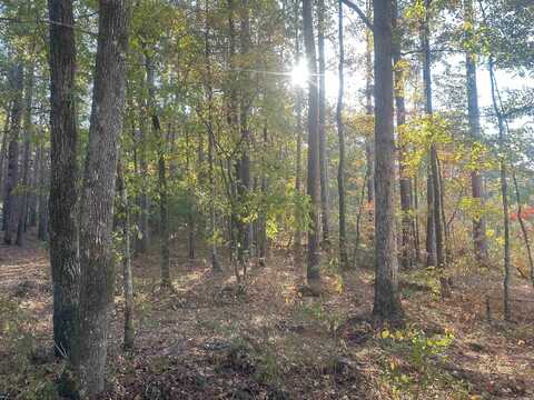 5-9-19 Red Springs RD, Gurdon, AR 71743