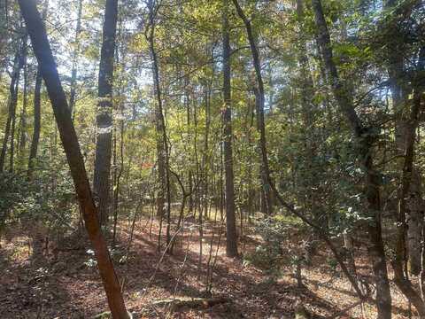 50-9-19 Red Springs Rd, Gurdon, AR 71743