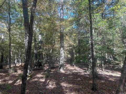 29-9-19 Red Springs Rd, Gurdon, AR 71743