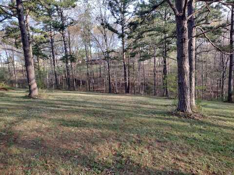 lot 28 Tournament DR, Mountain View, AR 72560