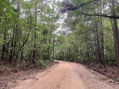 5-14-15 Calhoun CR 259, Locust Bayou, AR 71701