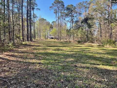 147 Guppie Lane, Leesville, SC 29072