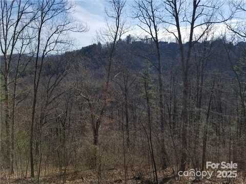 140 Summit Tower Circle, Asheville, NC 28804