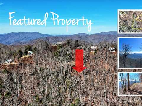 Barn Cove Road unit: 61 & 62, Clyde, NC 28721