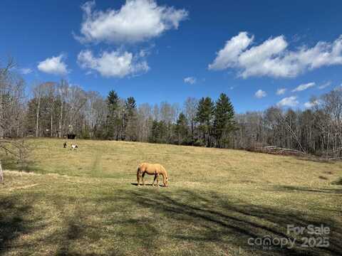 Tbd Lytle Road, Fletcher, NC 28732