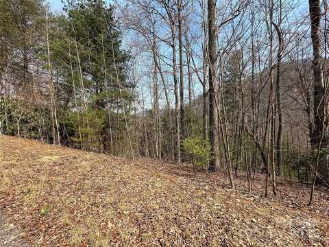 Wood Stone Drive unit: 14, Hendersonville, NC 28792