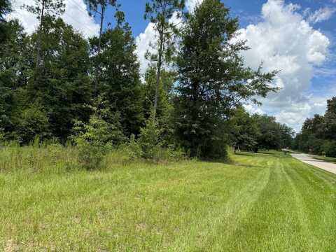 Lot 32 Parkside, Donalsonville, GA 39845