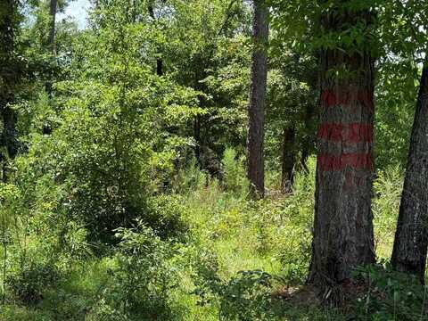 98 Holly Isles-Harvel Pond Rd, Donalsonville, GA 39845