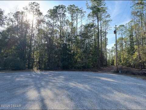 0 SW 93rd Lane, Dunnellon, FL 34431