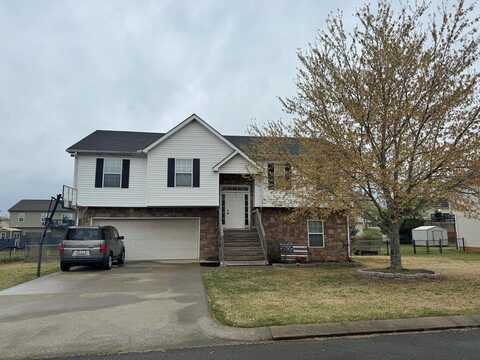 97 Breanna Way, CHATSWORTH, GA 30705