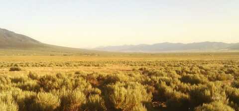 Eucalyptus Street, Montello, NV 89830
