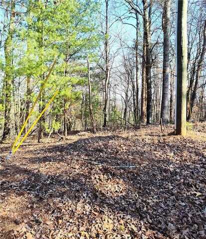 1698 Shade Tree Lane, Talking Rock, GA 30175