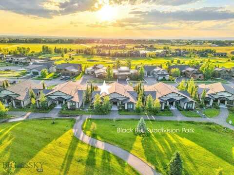 462 Black Bull Trail unit: D, Bozeman, MT 59718