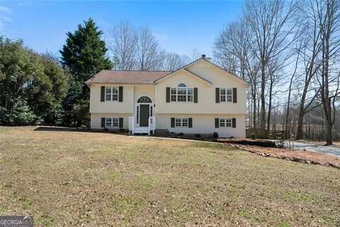 4312 DANIEL, Winston, GA 30187