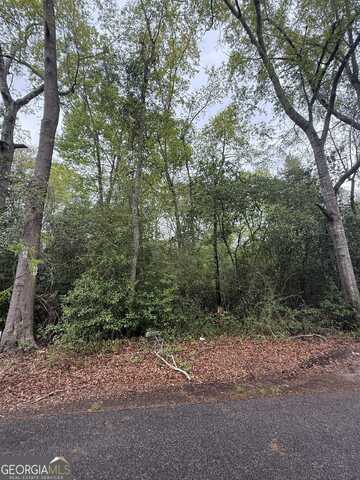 0 Ash, Danville, GA 31017