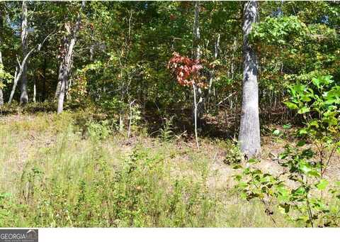 0 Hiawassee, Cleveland, GA 30528