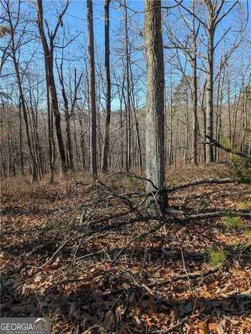 1422 Hanna, Ranger, GA 30734