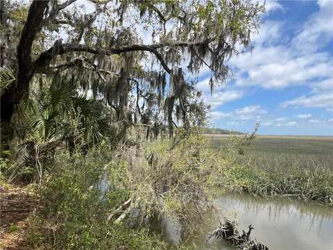 Lot 25 Sugar Mill Lane, Darien, GA 31331