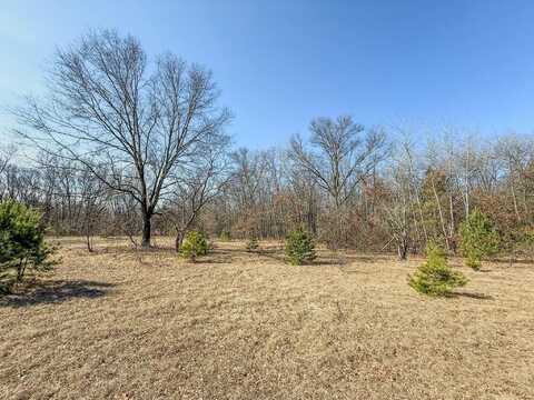 30 Hayes Road, Mecosta, MI 49332