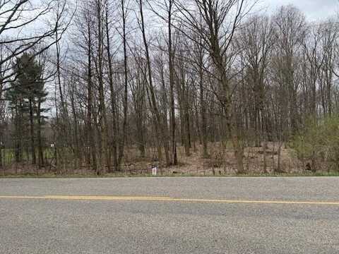 V/L Rives Eaton Road, Rives Junction, MI 49277