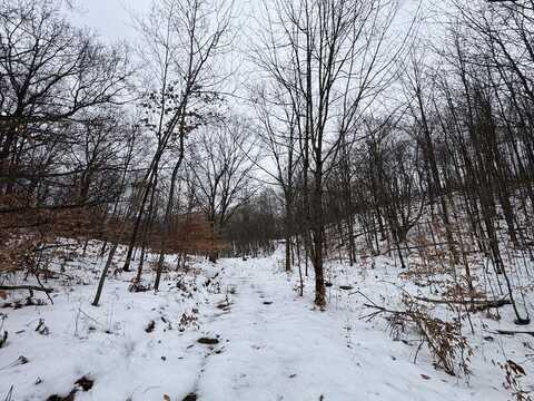 Woodland Drive, Cadillac, MI 49601