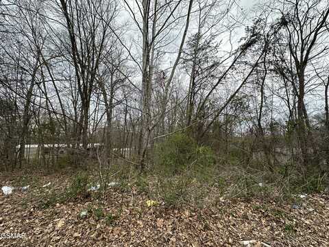 0 Long Ave Avenue, Newport, TN 37821