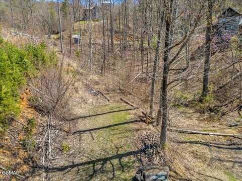 1102 Hemlock Hollow Road, Gatlinburg, TN 37738