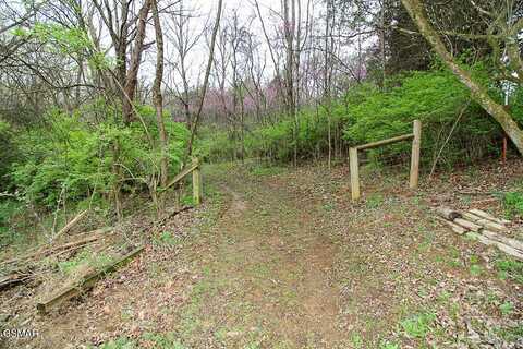 5 Acre Tr. Cedar School Road, Dandridge, TN 37725