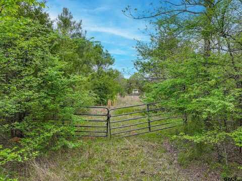 TBD County Road 3105, Chandler, TX 75758