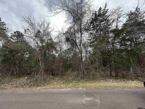 TBD N King Lake Rd, Scroggins, TX 75480